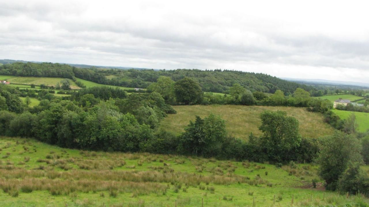 Отели типа «постель и завтрак» Grangeview House B&B Mullinderg-34